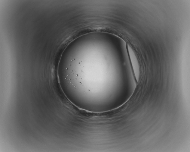 X0000112910556200908241208