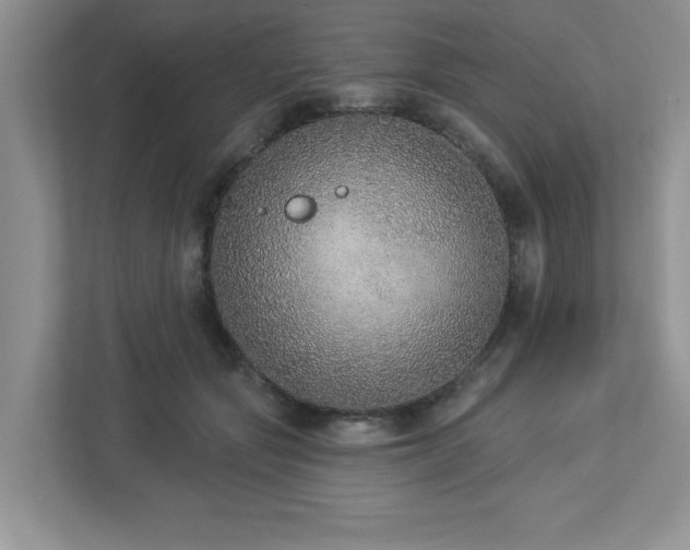 X0000112910557200908241208