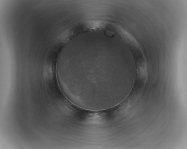 X0000112910558200908241208