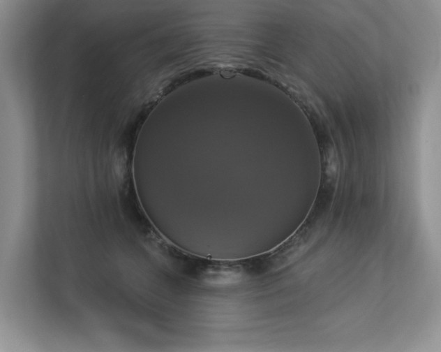 X0000112910559200908241208