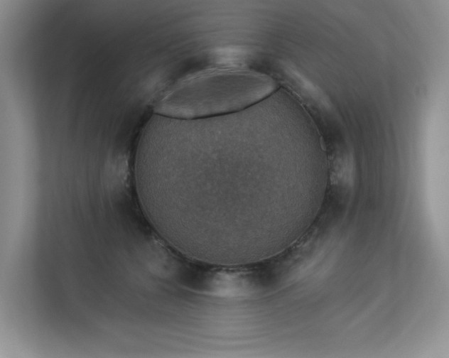 X0000112910560200908241208