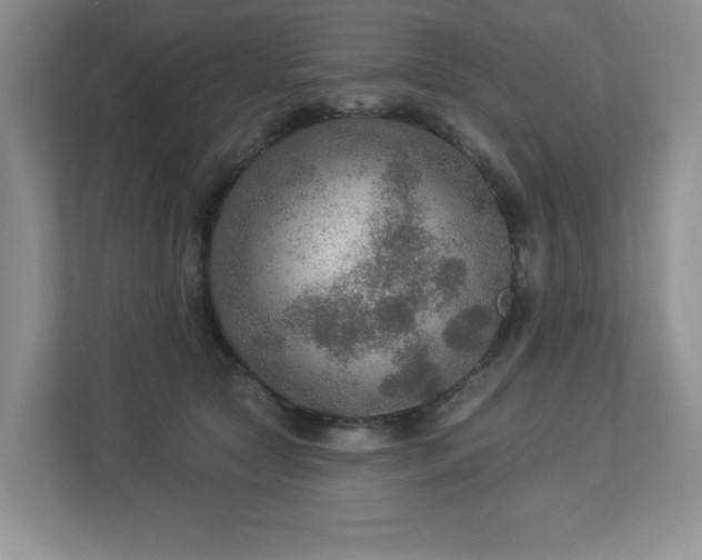 X0000112910561200908241208