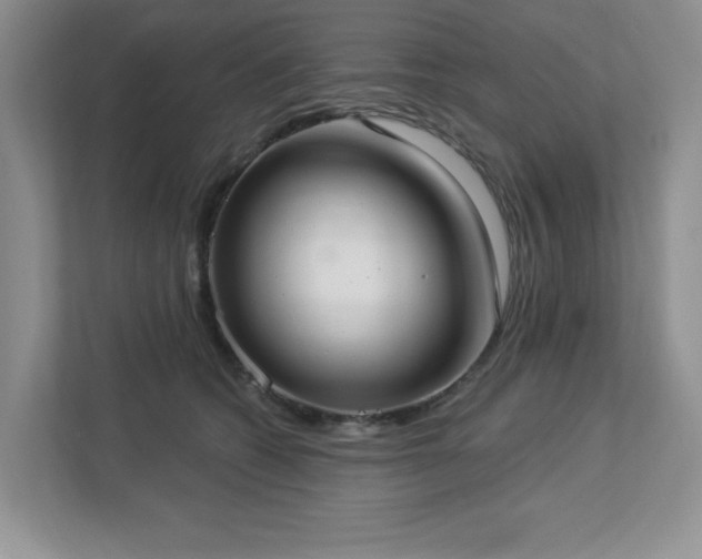 X0000112910562200908241208