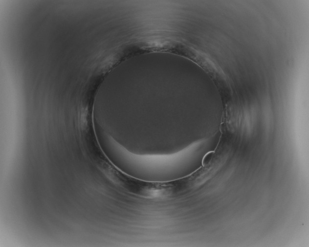 X0000112910563200908241208