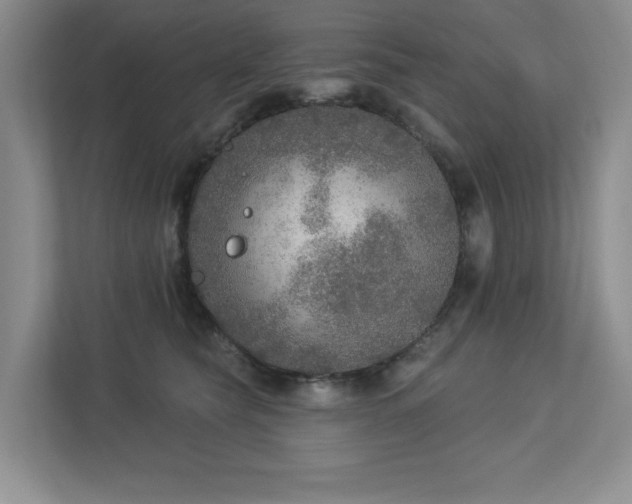 X0000112910565200908241208