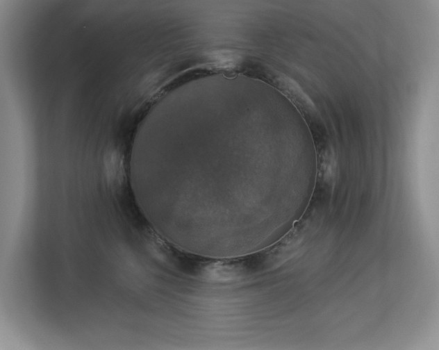 X0000112910568200908241208