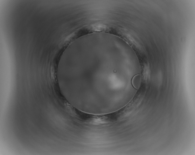 X0000112910569200908241208