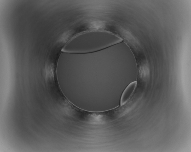 X0000112910570200908241208