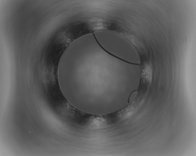 X0000112910572200908241208