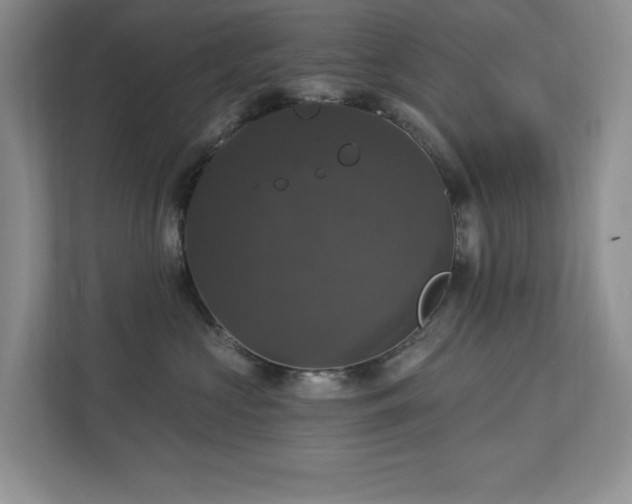 X0000112910573200908241208