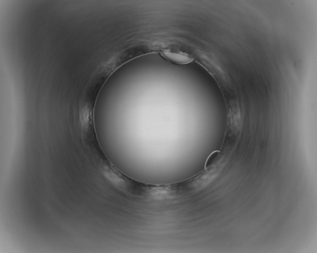 X0000112910574200908241208