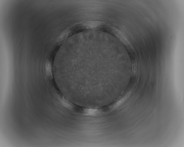 X0000112910575200908241208