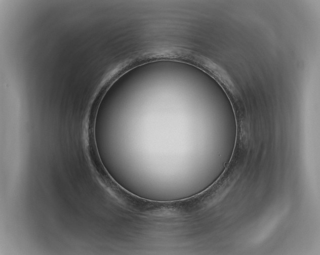 X0000112910578200908241208