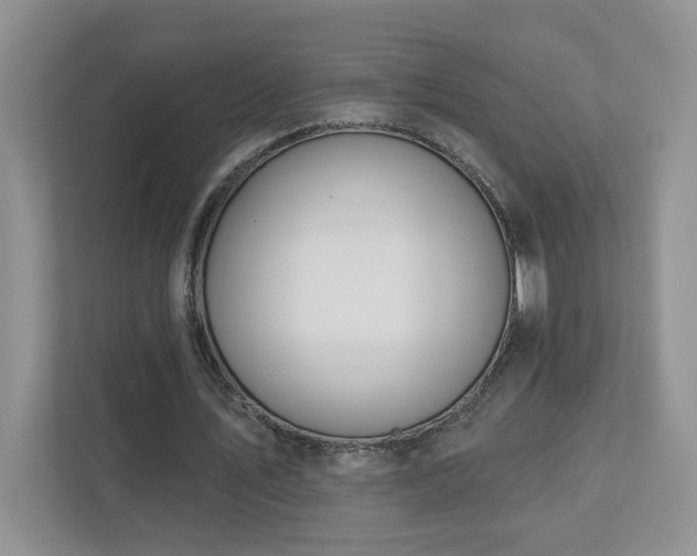 X0000112910579200908241208