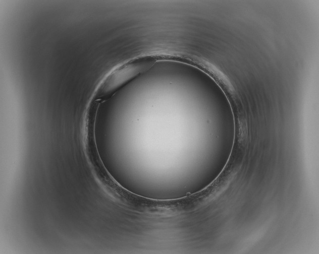 X0000112910580200908241208