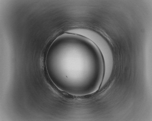 X0000112910585200908241208