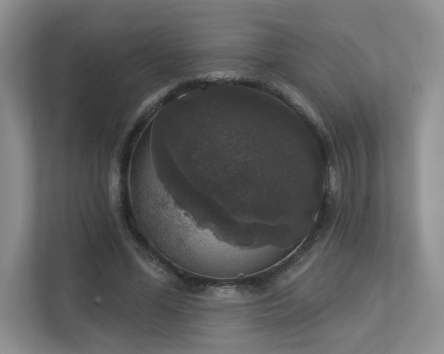 X0000112910588200908241208