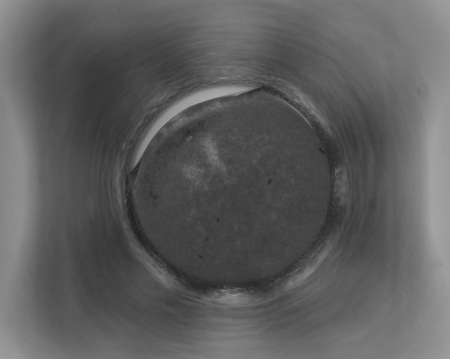 X0000112910589200908241208