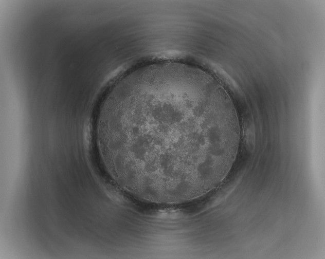 X0000112910591200908241208