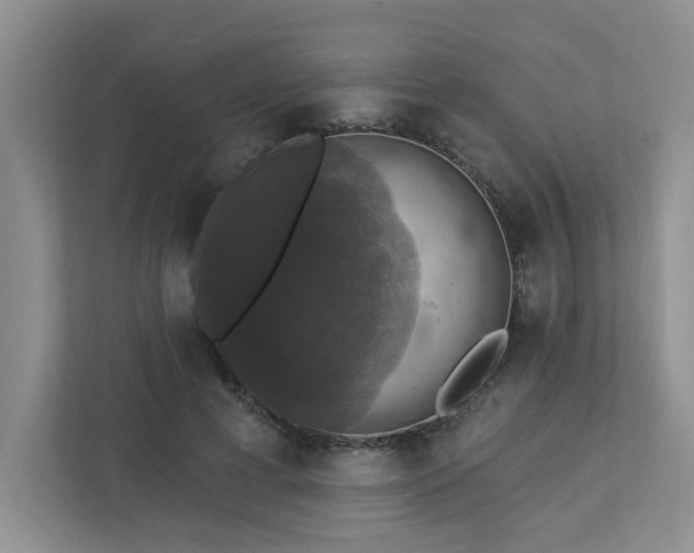 X0000112910593200908241207