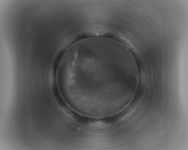 X0000112910594200908241207