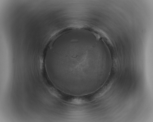 X0000112910596200908241207