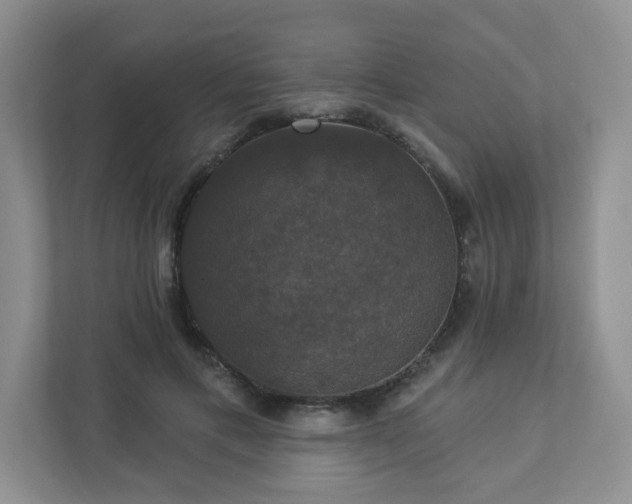 X0000112910597200908241207