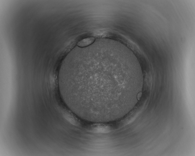 X0000112910601200908241207