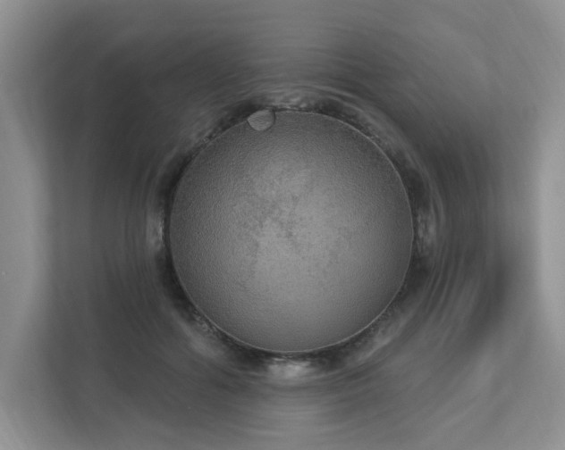 X0000112910602200908241207