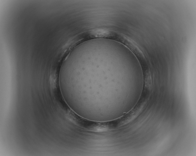 X0000112910604200908241207