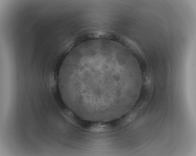 X0000112910607200908241207