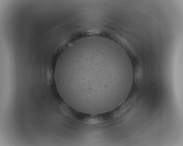 X0000112910608200908241207