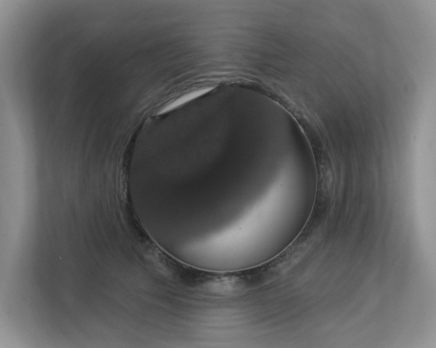 X0000112910609200908241207