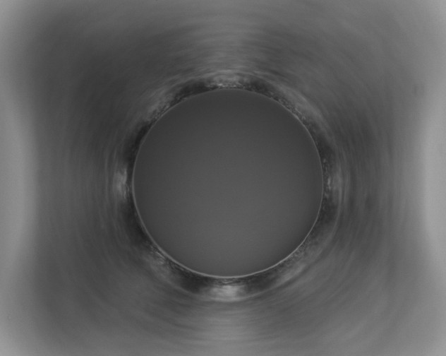 X0000112910610200908241207