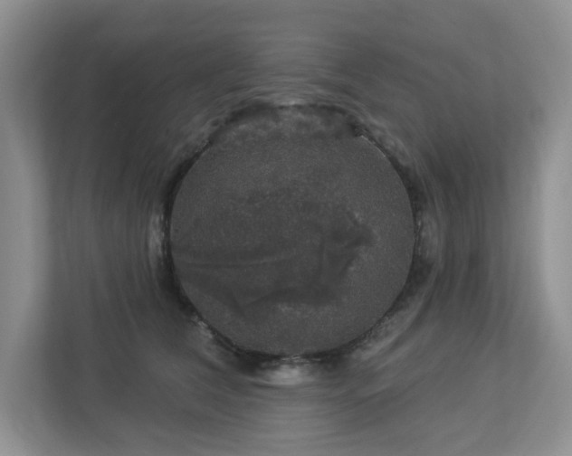 X0000112910612200908241207