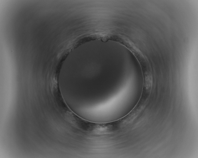 X0000112910613200908241207