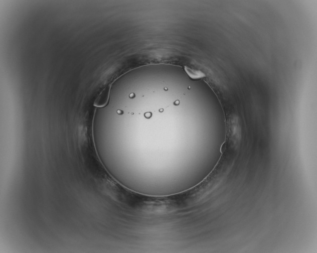 X0000112910615200908241207