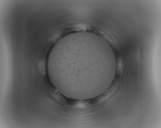 X0000112910616200908241207