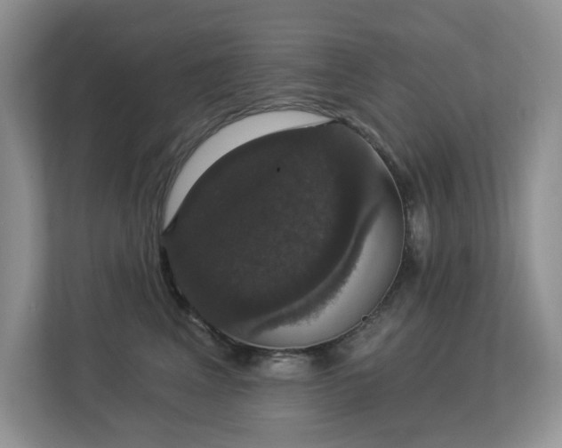 X0000112910617200908241207