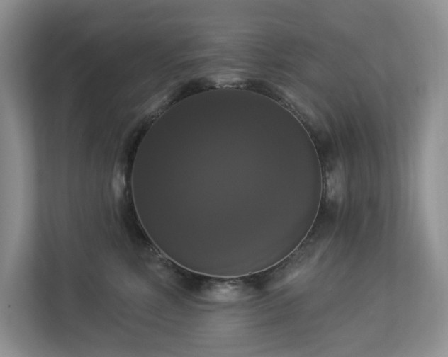 X0000112910618200908241207