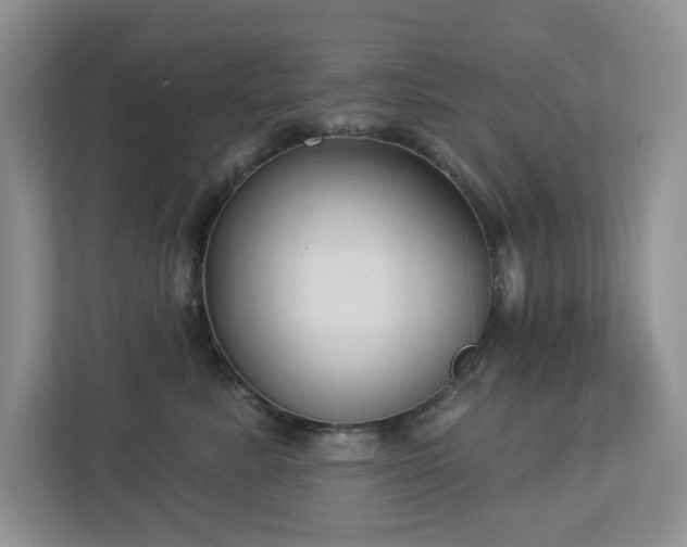 X0000112910619200908241207