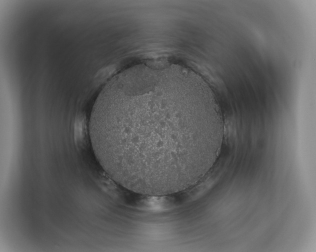 X0000112910623200908241207