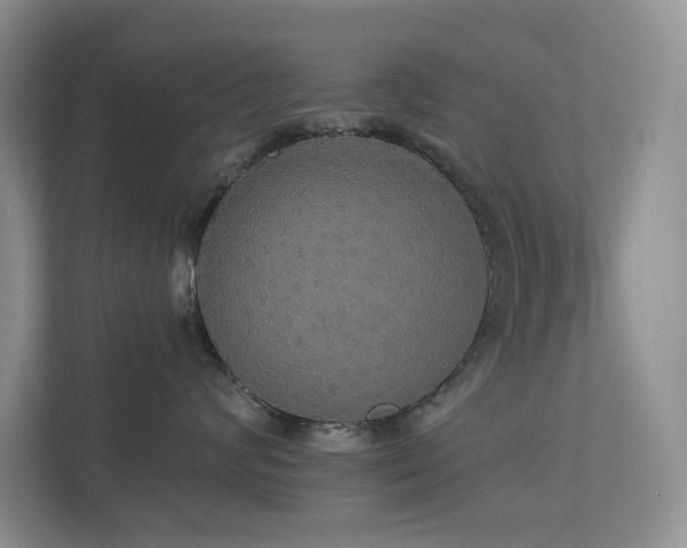 X0000112910624200908241207