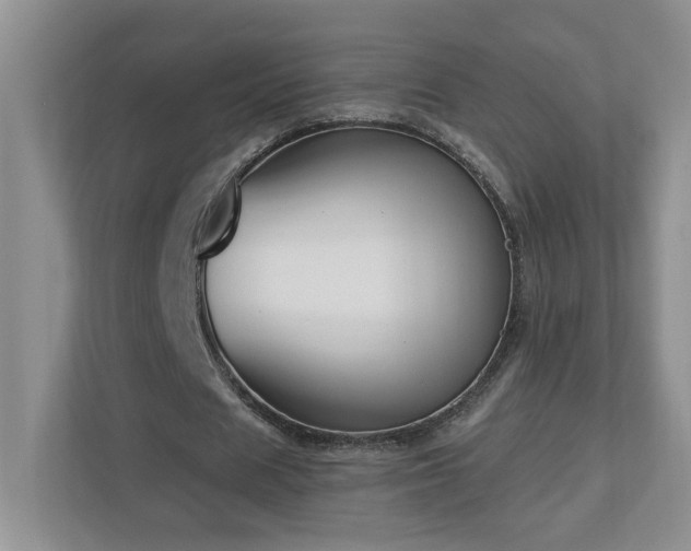 X0000112910625200908241206