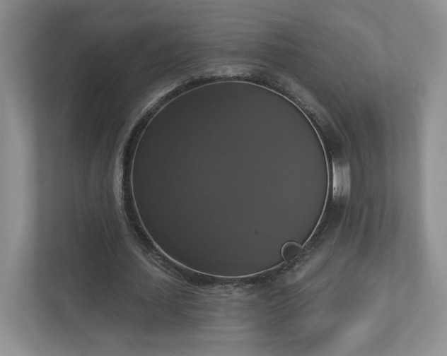 X0000112910627200908241206