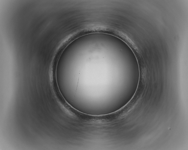 X0000112910629200908241207