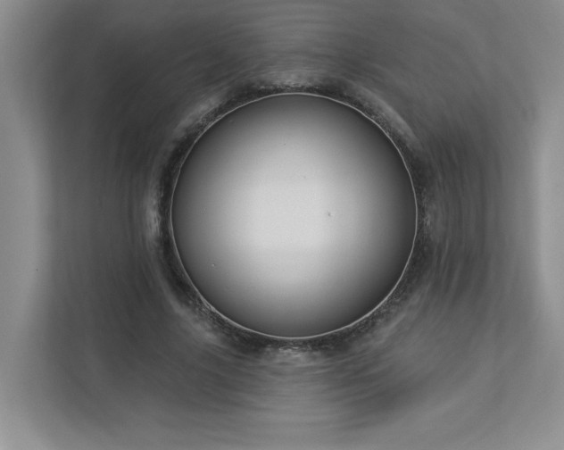 X0000112910635200908241207