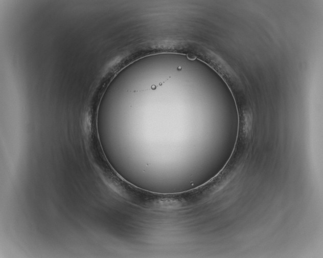 X0000112910636200908241207