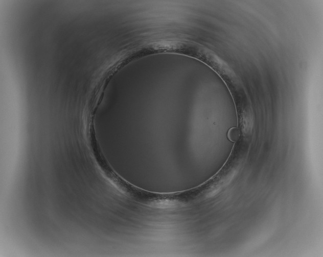 X0000112910637200908241207