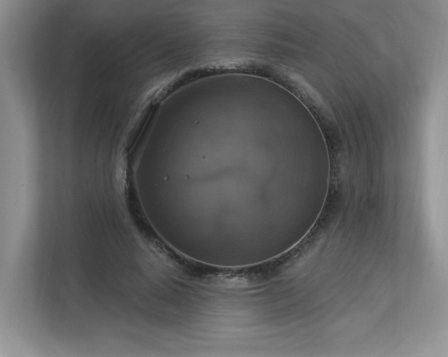 X0000112910640200908241207